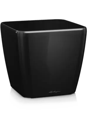 Black High Gloss