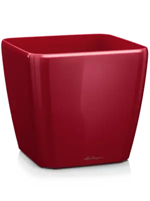 Scarlet Red High-gloss