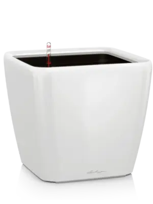All Inclusive Set White
