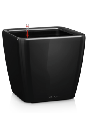 All Inclusive Set Black High Gloss