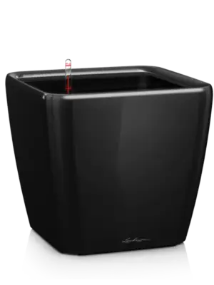 All Inclusive Set Black High Gloss