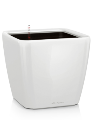 All Inclusive Set White