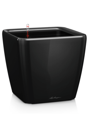 All Inclusive Set Black High Gloss