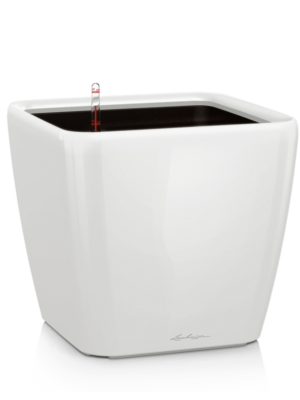 All Inclusive Set White