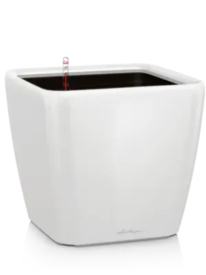 All Inclusive Set White