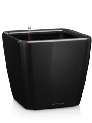 All Inclusive Set Black High Gloss