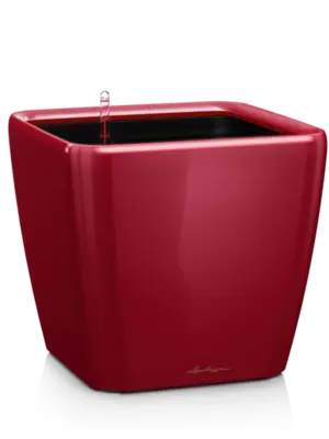 All Inclusive Set Scarlet Red High-gloss