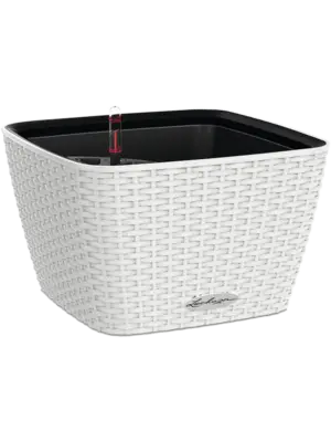 All Inclusive Set White