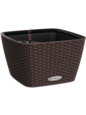 All Inclusive Set Mocha