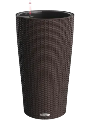 All Inclusive Set Mocha