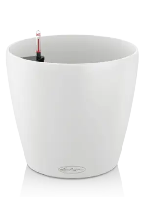 All Inclusive Set White