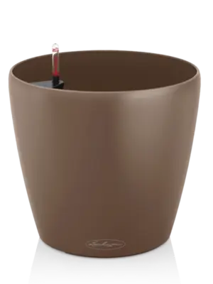 All Inclusive Set Nutmeg