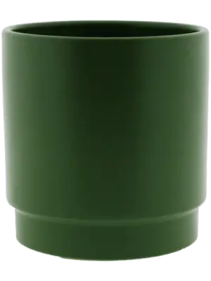 Pot Olive