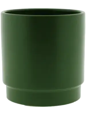 Pot Olive