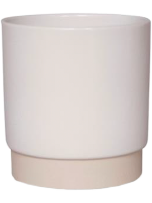 Pot White
