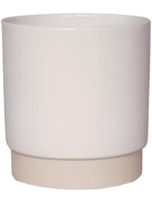 Pot White