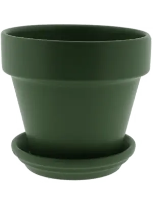 Pot & Saucer Matt Olive