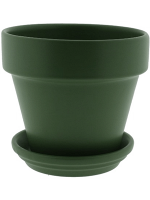 Pot & Saucer Matt Olive