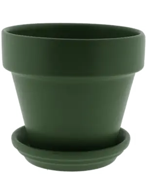 Pot & Saucer Matt Olive