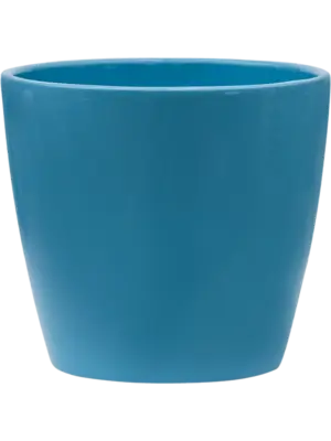 Couple Boston Pastel Blue