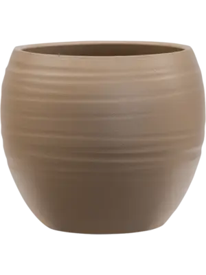 Globe Cannes Greybeige