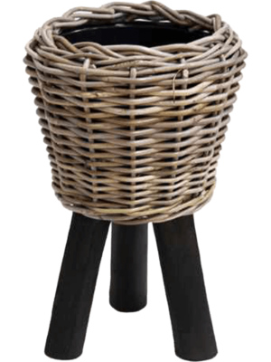 Round With Black Feet