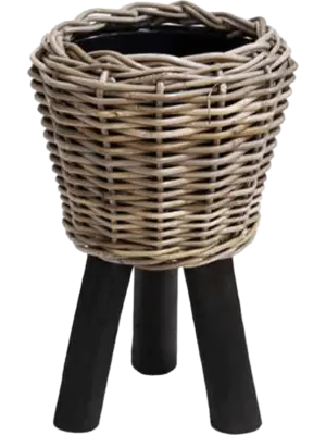 Round With Black Feet