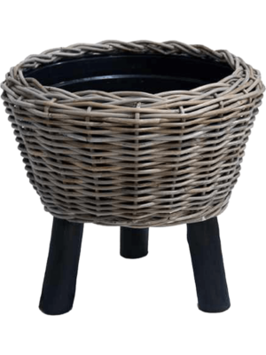 Round With Black Feet