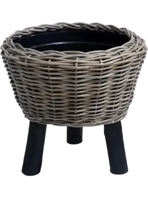 Round With Black Feet
