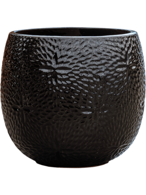 Pot Black
