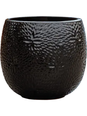 Pot Black