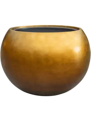 Globe Matt Honey (with liner)