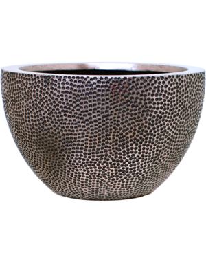 Bowl Silver