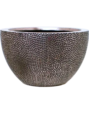 Bowl Silver