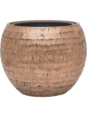 Globe Gold (with liner)