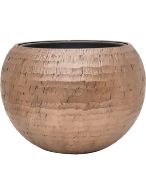 Globe Gold (with liner)