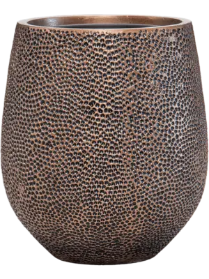 Darcy Gold (with liner)