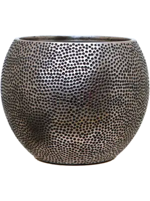 Globe Silver (with liner)