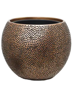 Globe Gold (with liner)