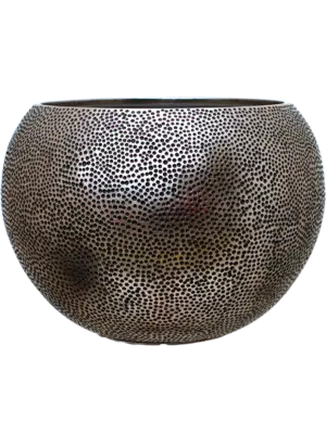 Globe Silver (with liner)