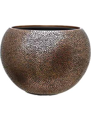 Globe Gold (with liner)