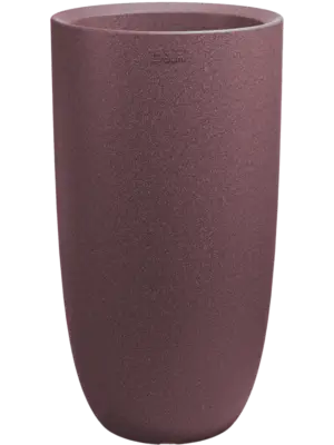 Amphora Violet Cork
