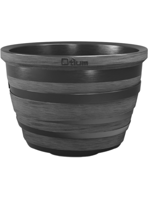 Lignum Anthracite