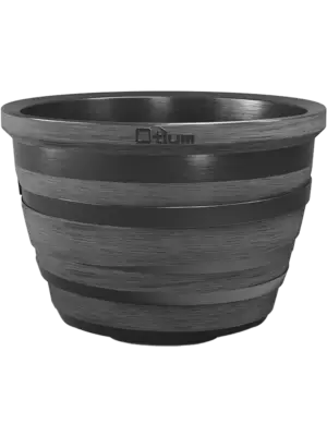 Lignum Anthracite
