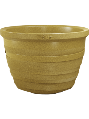 Lignum Ochre Cork
