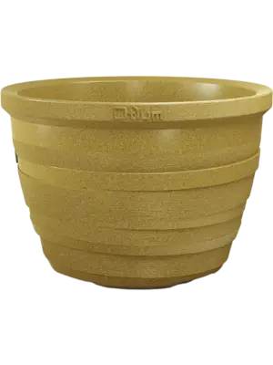 Lignum Ochre Cork