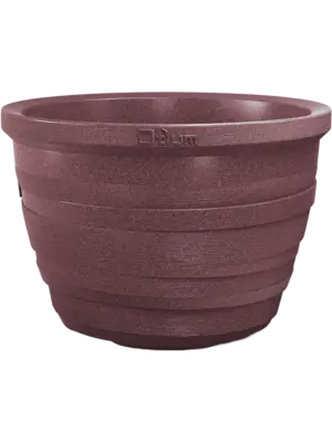 Lignum Violet Cork