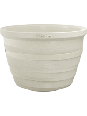 Lignum White Cork