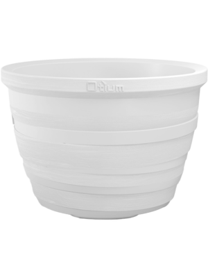 Lignum White