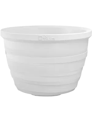 Lignum White